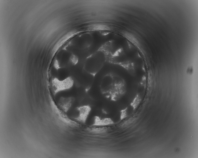 X0000114191047200911200932