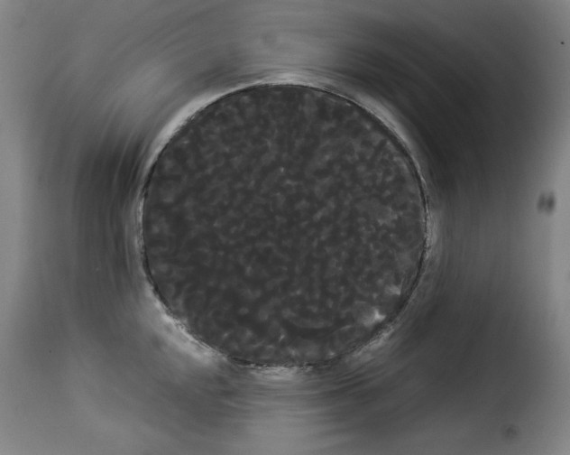 X0000114191048200911200932