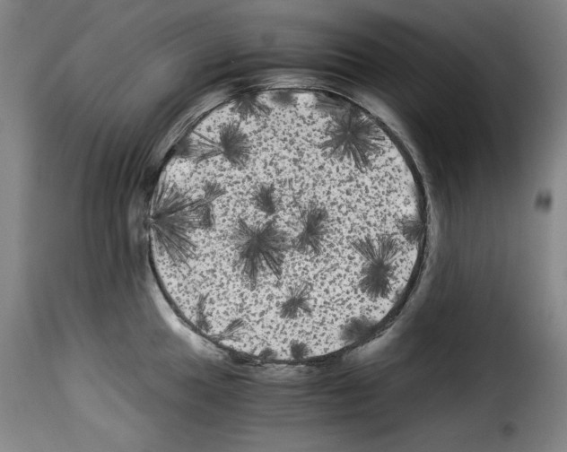 X0000114191049200911200932