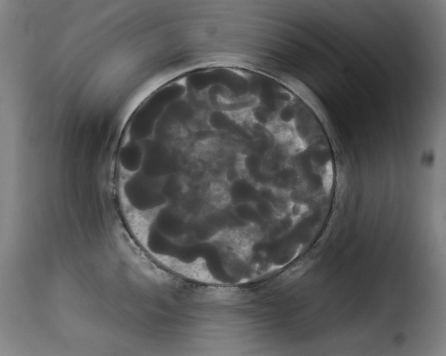 X0000114191052200911200932