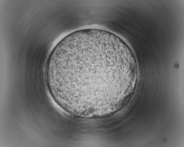 X0000114191054200911200932