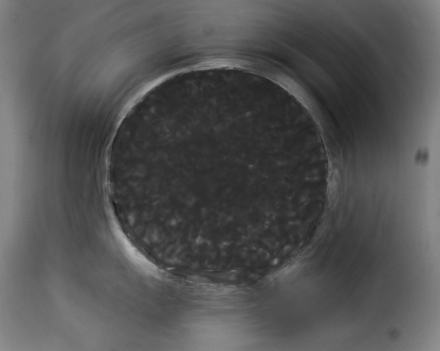 X0000114191055200911200932