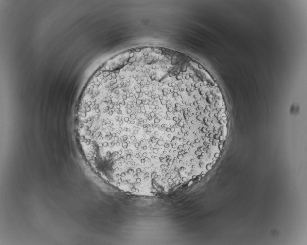 X0000114191056200911200932