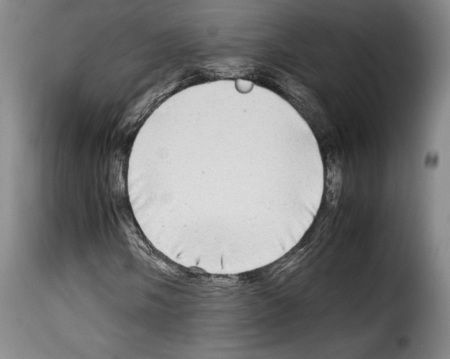 X0000114191058200911200931