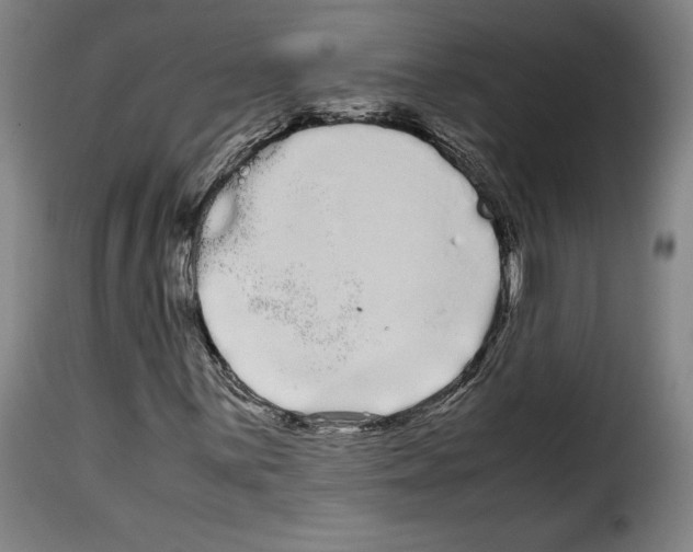 X0000114191059200911200931