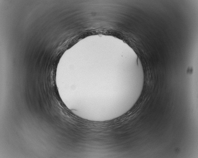 X0000114191060200911200931