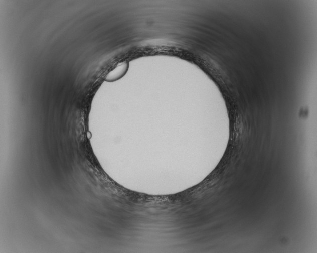 X0000114191062200911200931