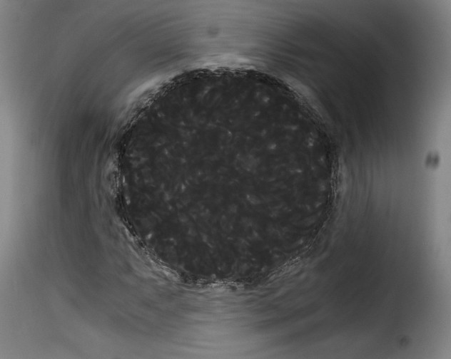 X0000114191063200911200931