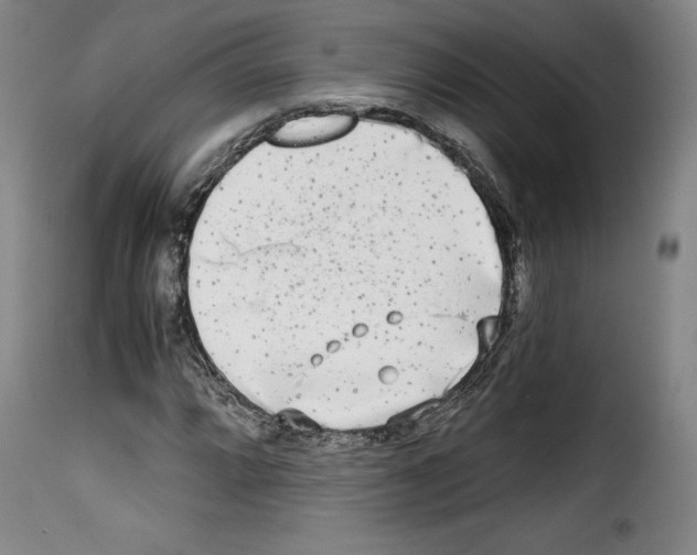 X0000114191064200911200931
