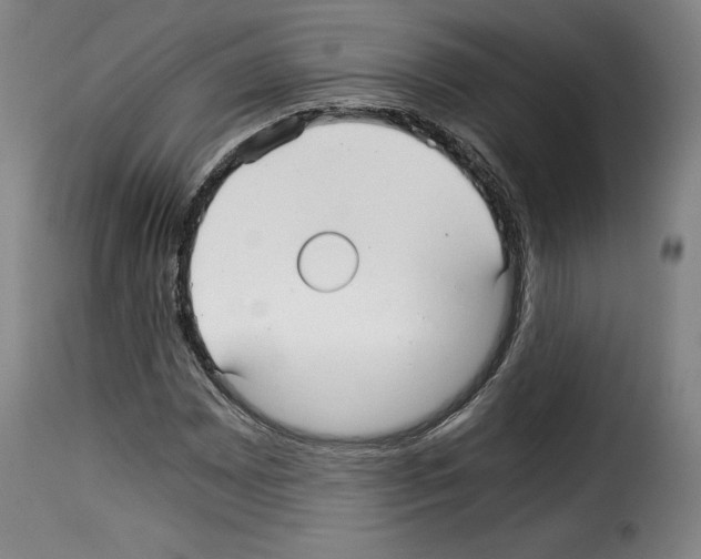 X0000114191065200911200931