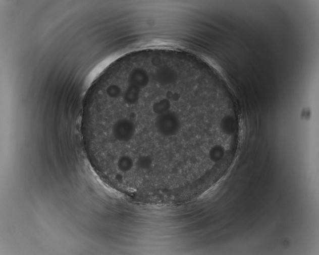 X0000114191066200911200931