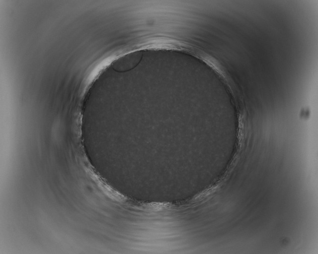 X0000114191067200911200931