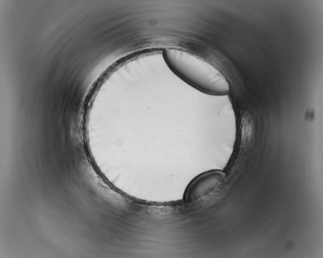 X0000114191068200911200931