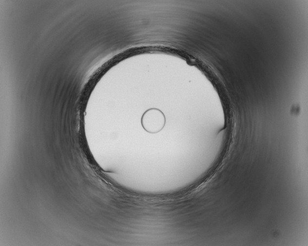 X0000114191069200911200931