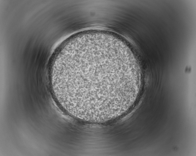 X0000114191070200911200931