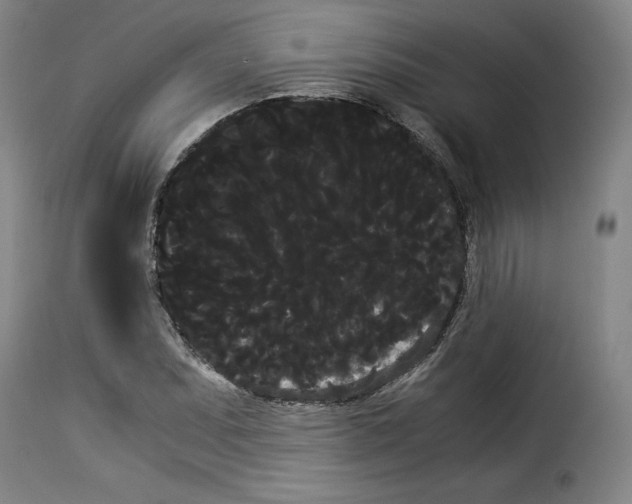 X0000114191071200911200931