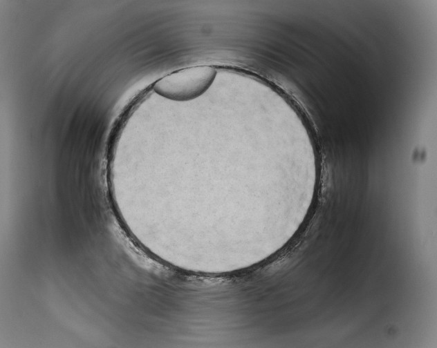 X0000114191072200911200931