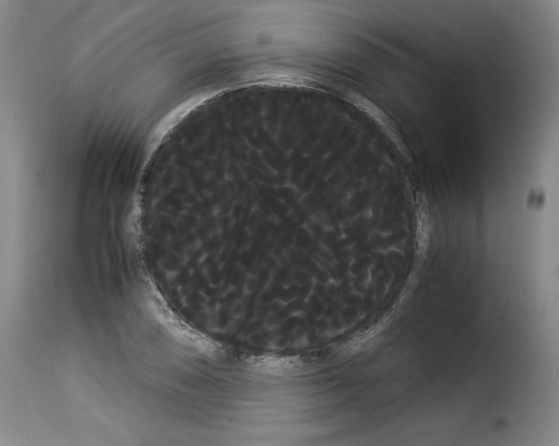 X0000114191074200911200931
