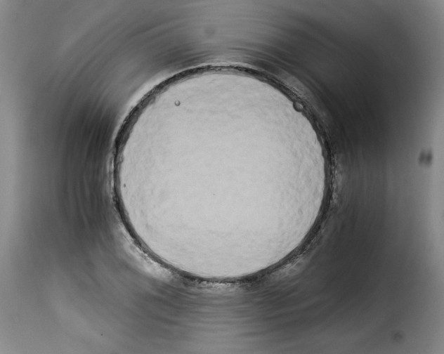 X0000114191076200911200931