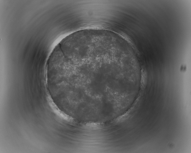 X0000114191078200911200931