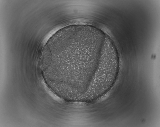 X0000114191081200911200931