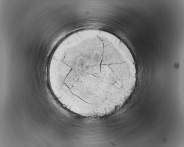 X0000114191083200911200931