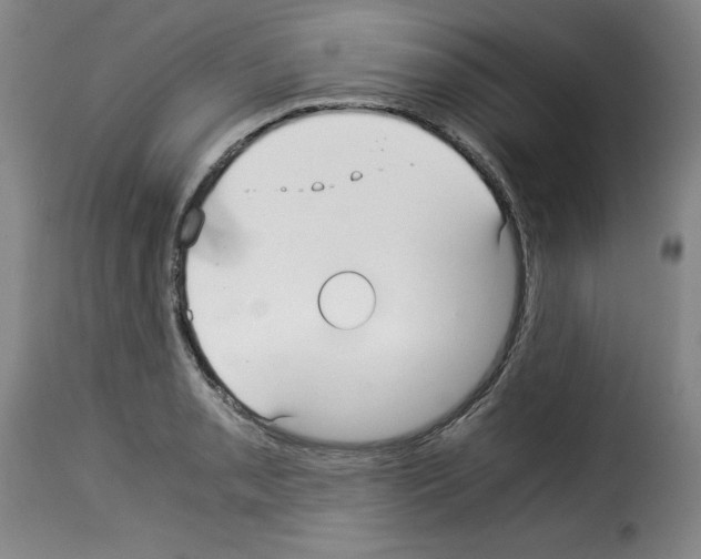 X0000114191085200911200931