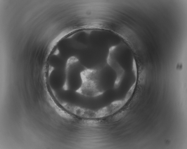 X0000114191086200911200931