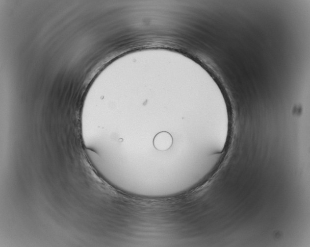 X0000114191089200911200931