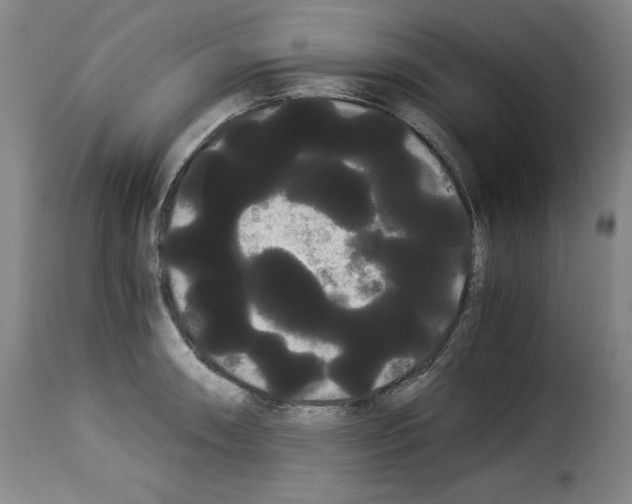 X0000114191090200911200931