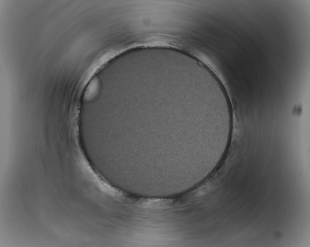 X0000114191093200911200931