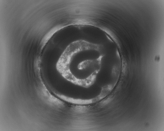 X0000114191094200911200930