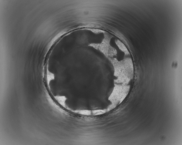 X0000114191095200911200930