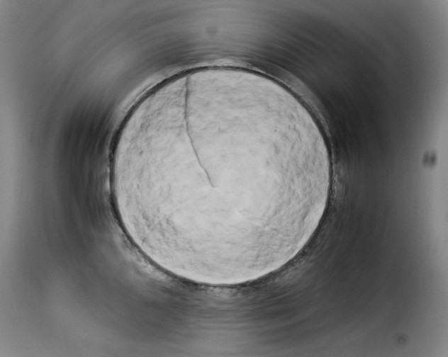 X0000114191096200911200930