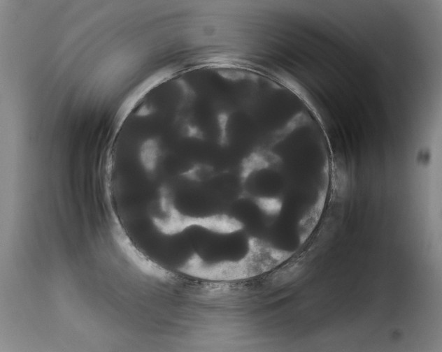 X0000114191098200911200930