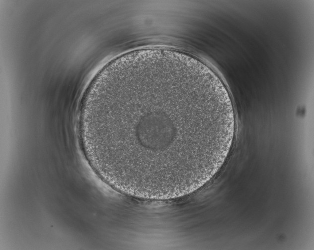 X0000114191099200911200930