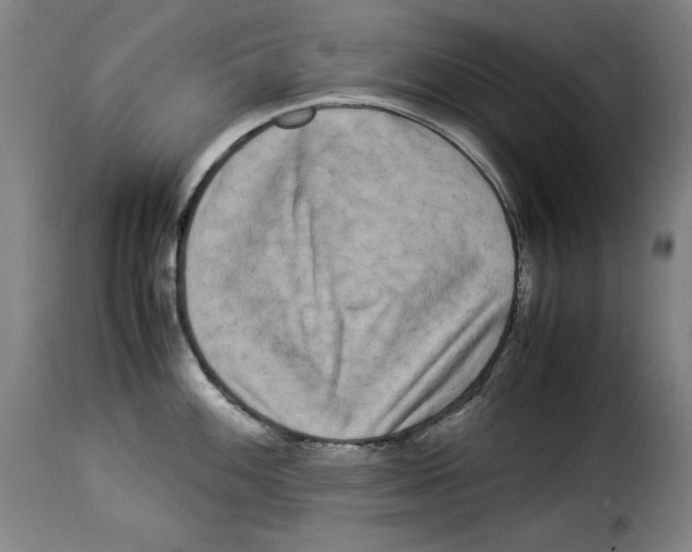 X0000114191100200911200930