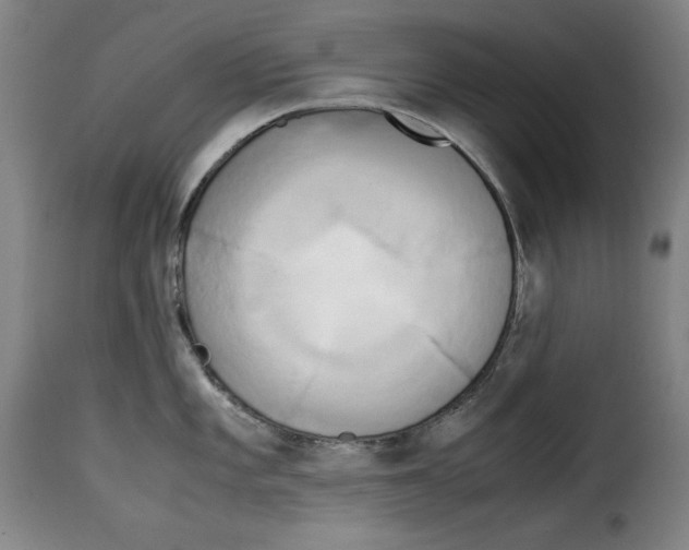 X0000114191101200911200930