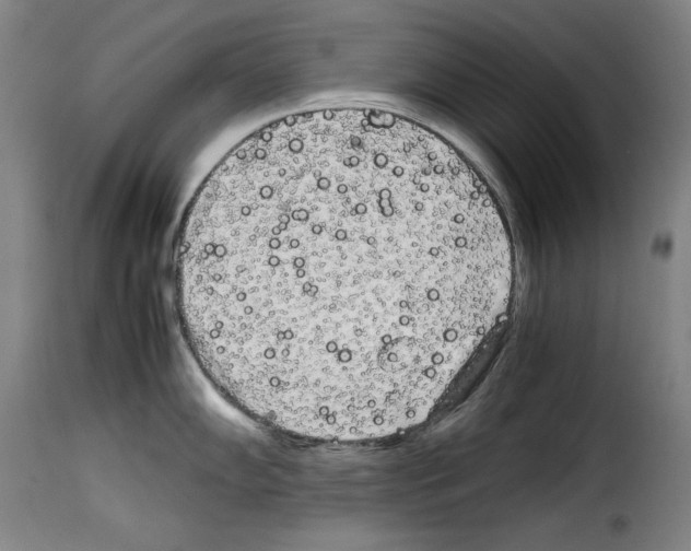 X0000114191102200911200930