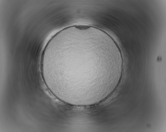 X0000114191104200911200930