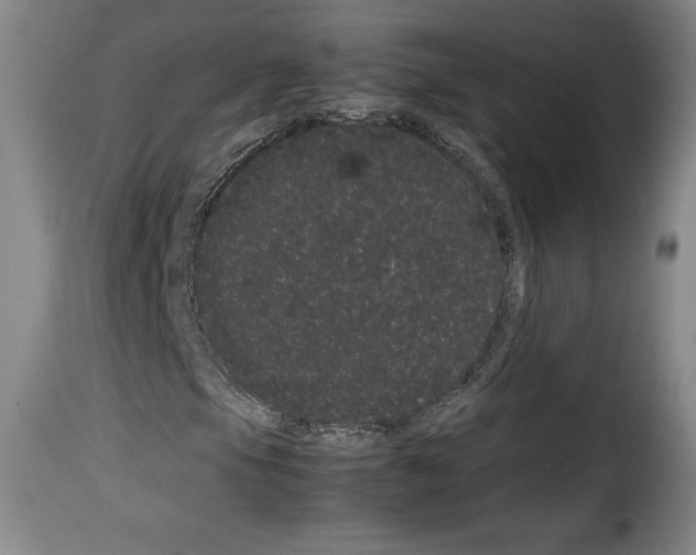 X0000114191105200911200930