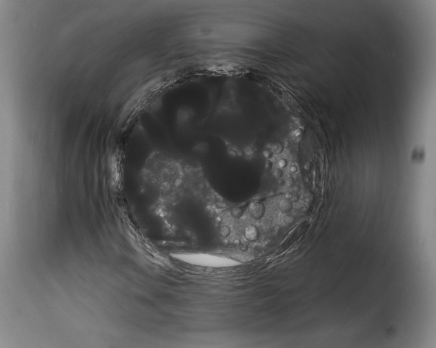 X0000114191106200911200930