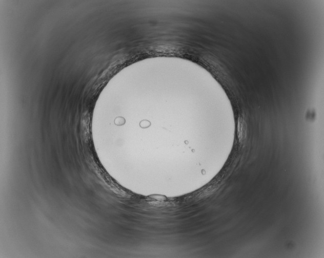 X0000114191107200911200930