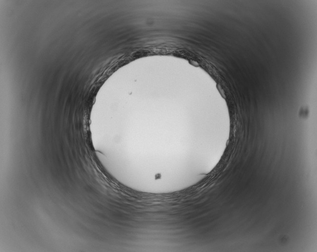 X0000114191108200911200930