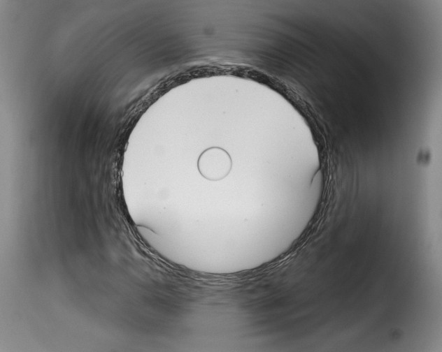 X0000114191110200911200930