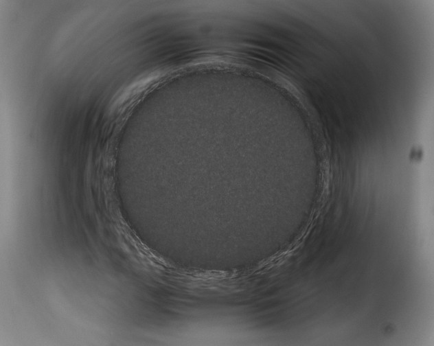 X0000114191111200911200930
