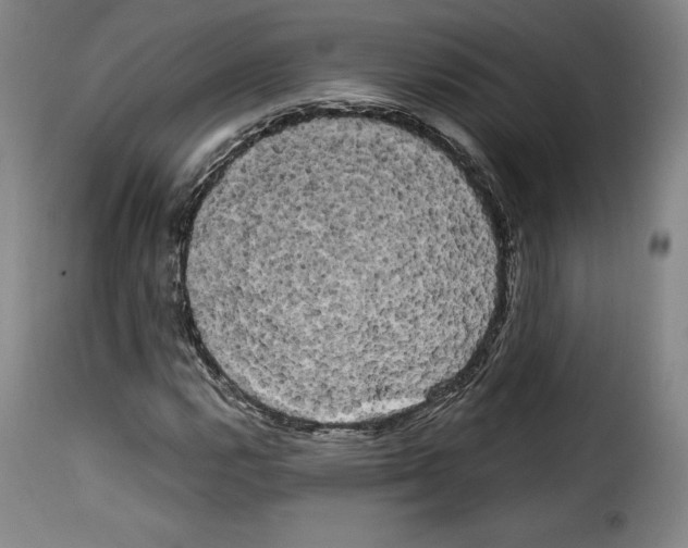 X0000114191112200911200930