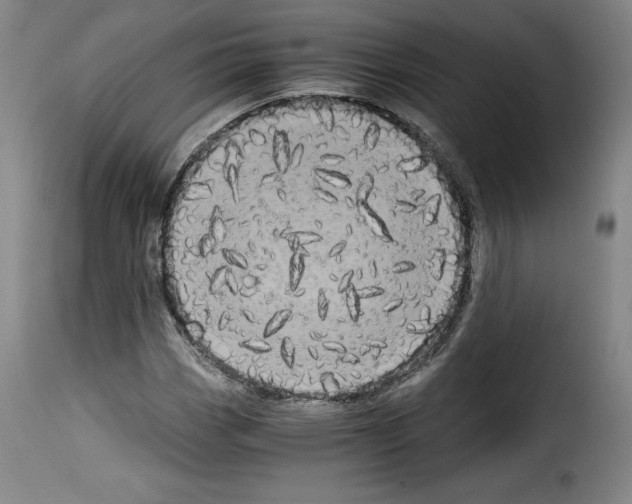 X0000114191113200911200930