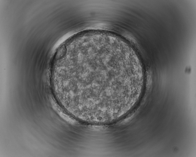 X0000114191114200911200930