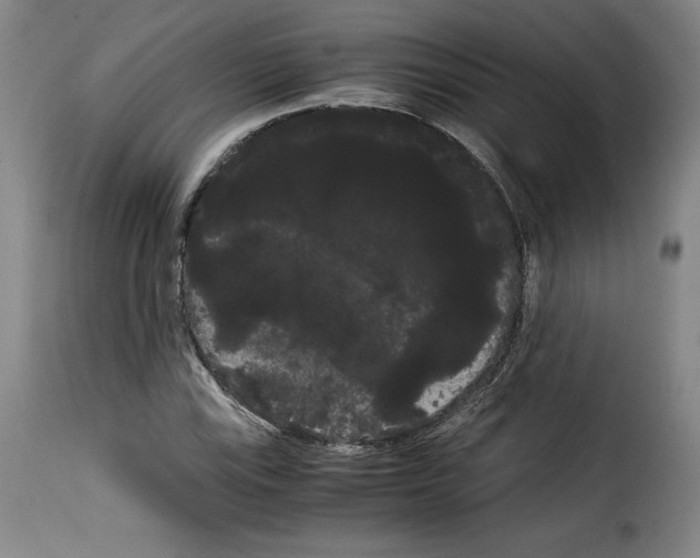 X0000114191115200911200930